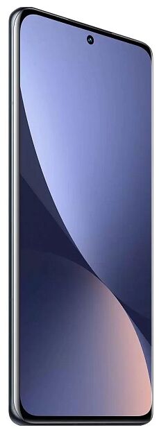Xiaomi 12 Pro 8Gb/256Gb (Gray) RU - 5