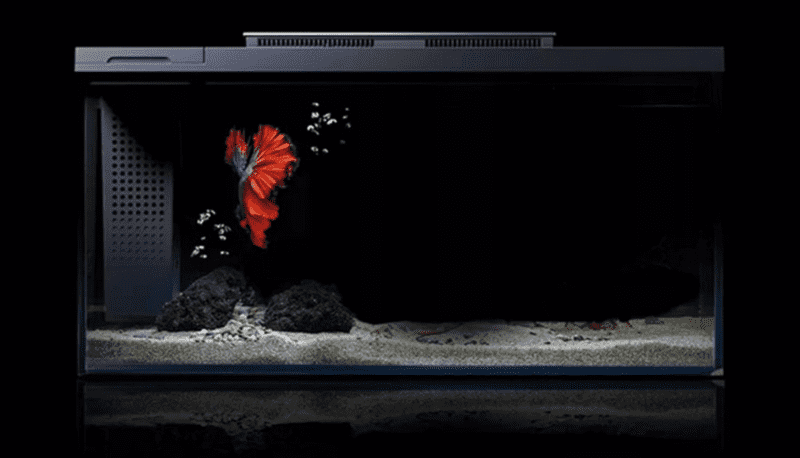Внешний вид умного аквариума Xiaomi Petkit Origin Intelligent Fish Tank Single Cylinder